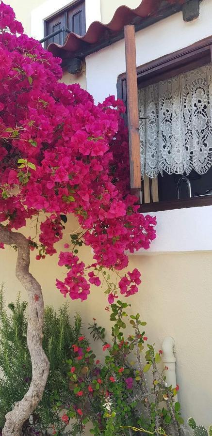 Yiayia'S Home Chalki Town Bagian luar foto