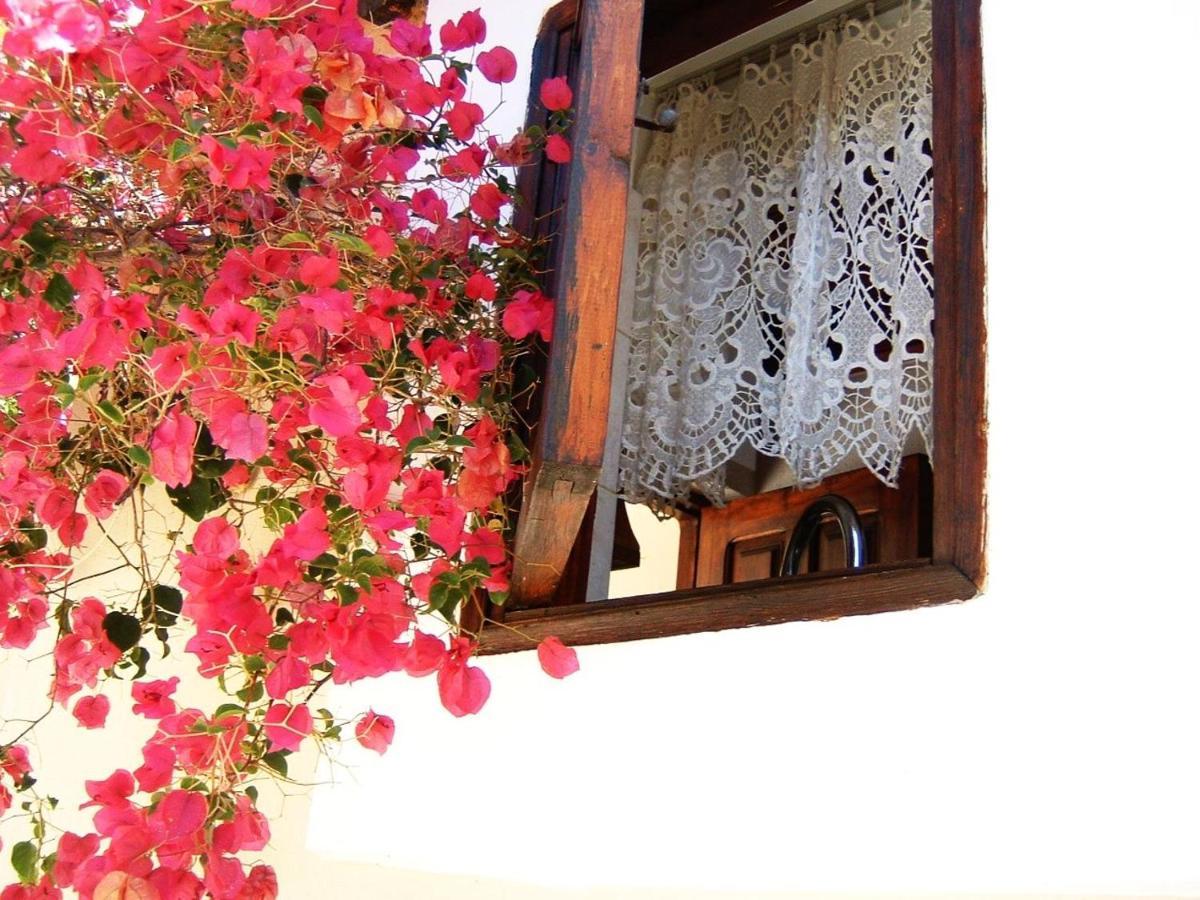 Yiayia'S Home Chalki Town Bagian luar foto